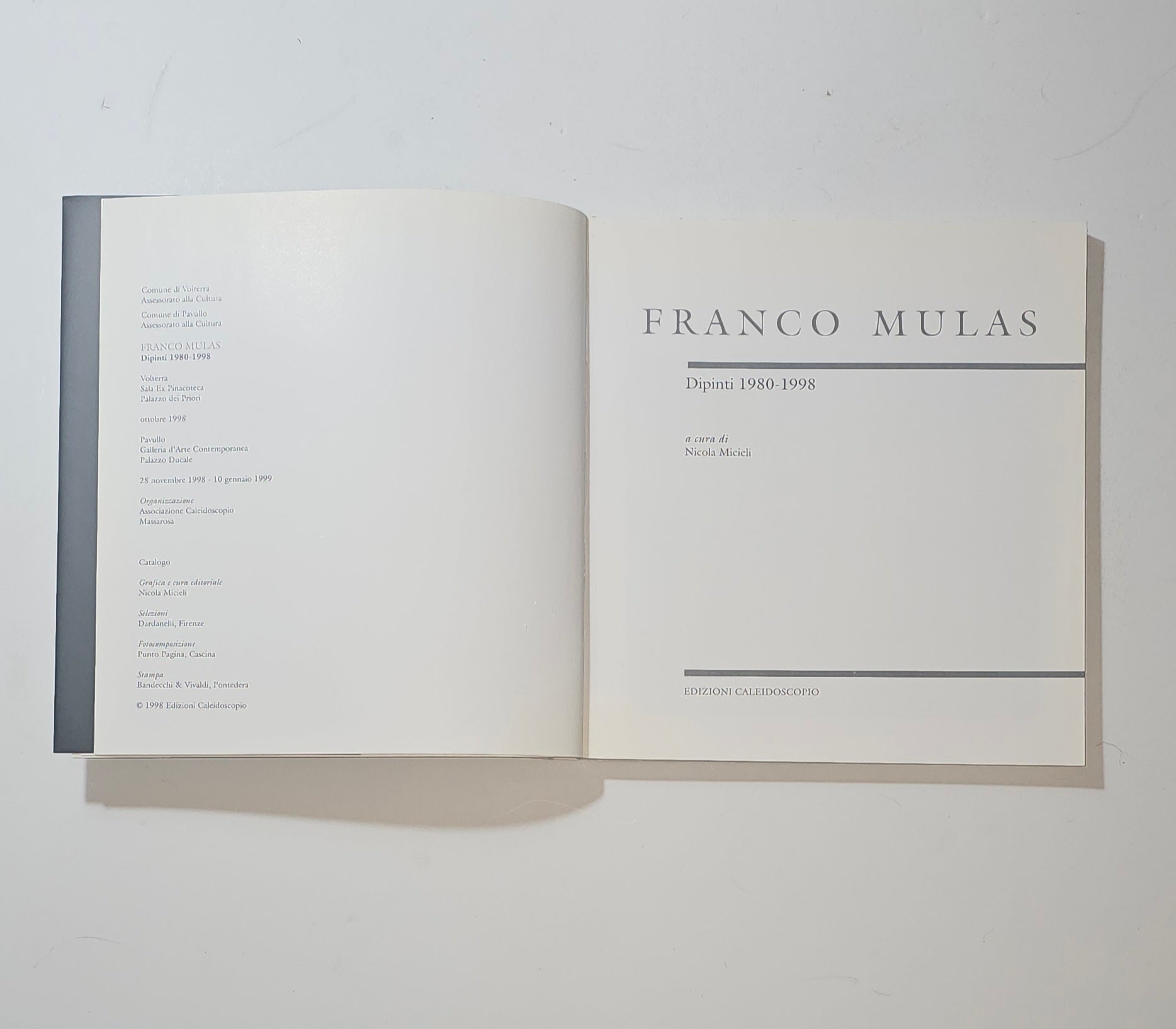 iolibrocarmine frontespizio libro Franco Mulas catalogo mostra
