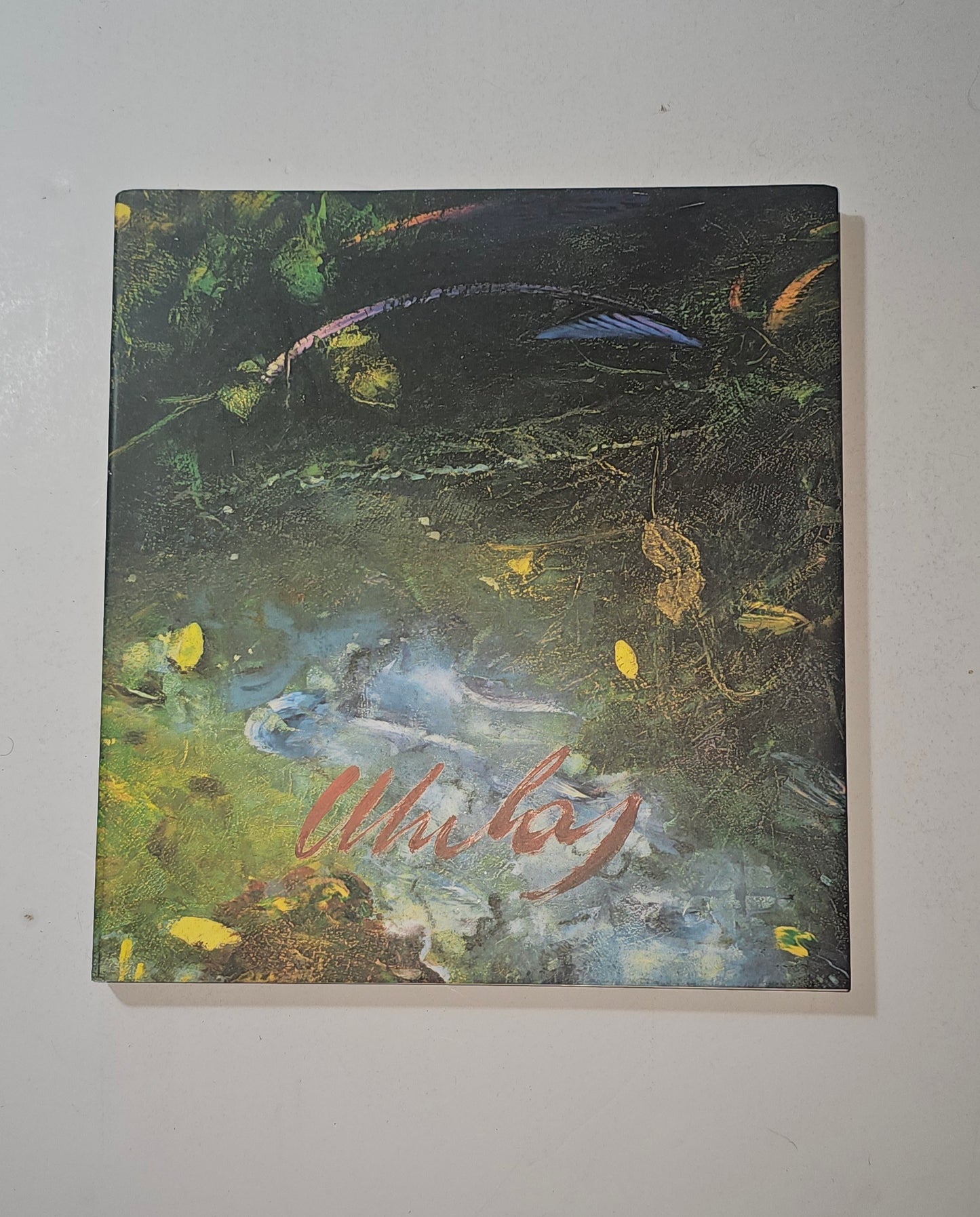 iolibrocarmine copertina catalogo Franco Mulas Dipinti 1980 1998
