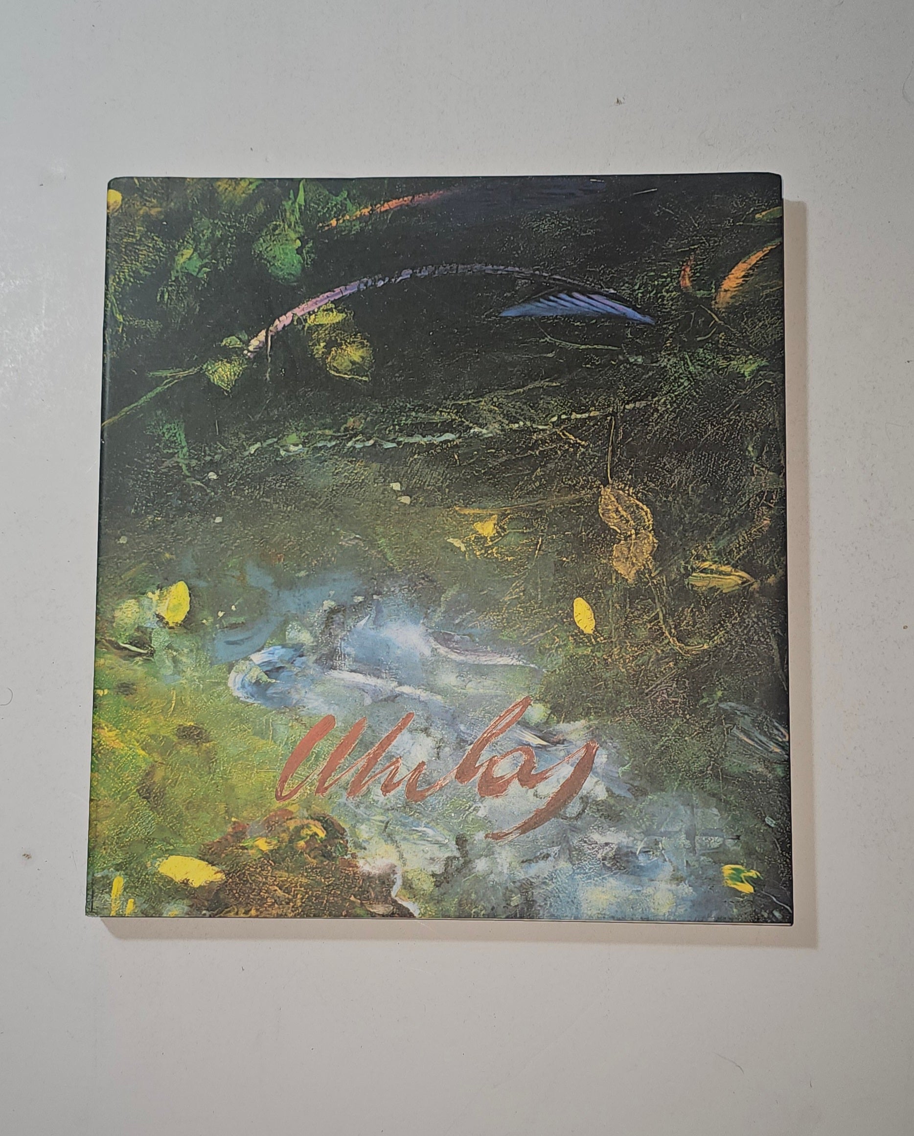 iolibrocarmine copertina catalogo Franco Mulas Dipinti 1980 1998
