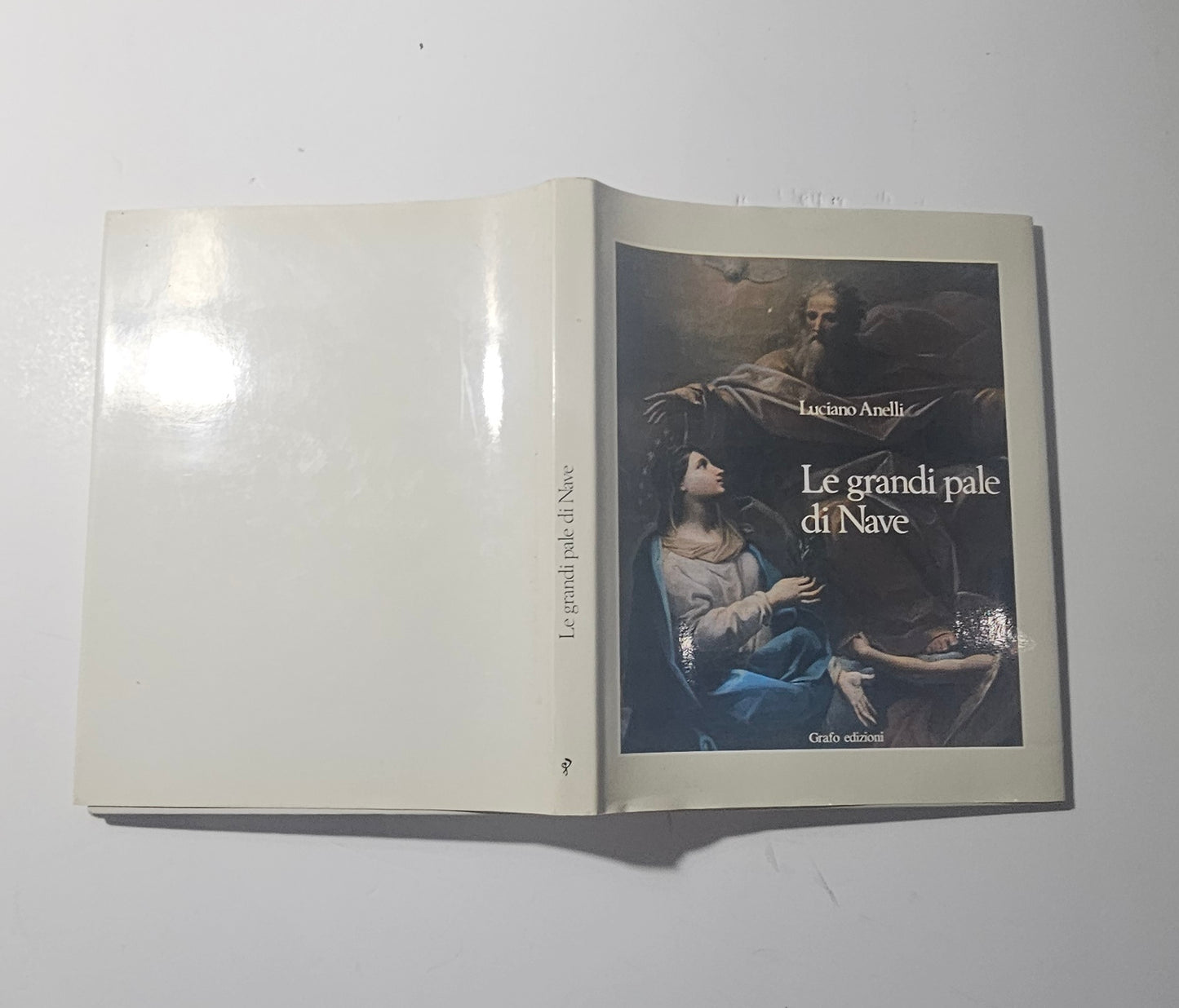 Copertina del libro Le Grandi Pale di Nave di Luciano Anelli io libro carmine