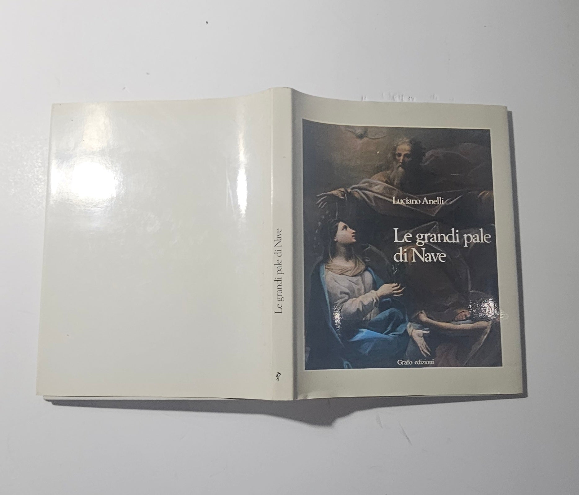 Copertina del libro Le Grandi Pale di Nave di Luciano Anelli io libro carmine