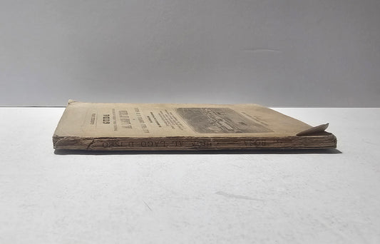 Dorso originale guida antica Lago d’Iseo iolibrocarmine
