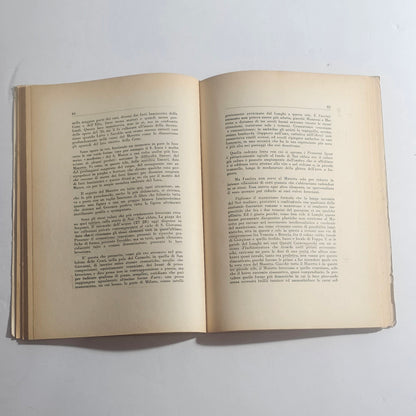 iolibrocarmine libro arte rinascimento italiano analisi critica moretto pagine interne
