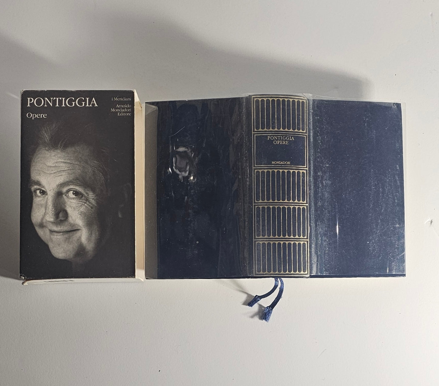 Dettaglio dorso Meridiani Mondadori Pontiggia io libro carmine