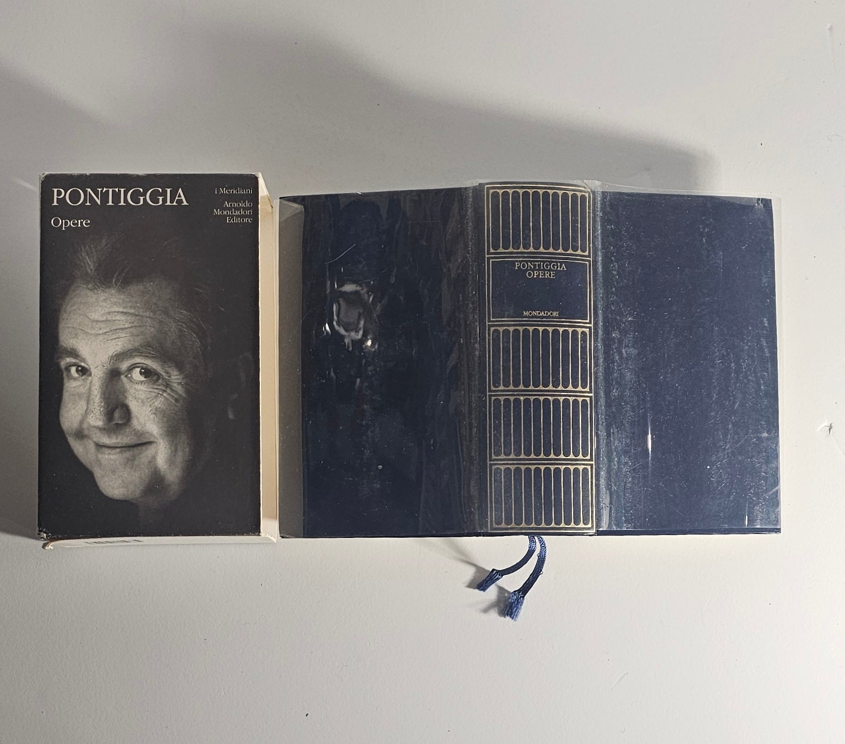 Dettaglio dorso Meridiani Mondadori Pontiggia io libro carmine