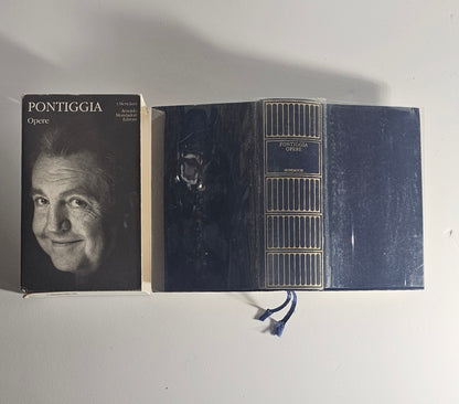 Dettaglio dorso Meridiani Mondadori Pontiggia io libro carmine