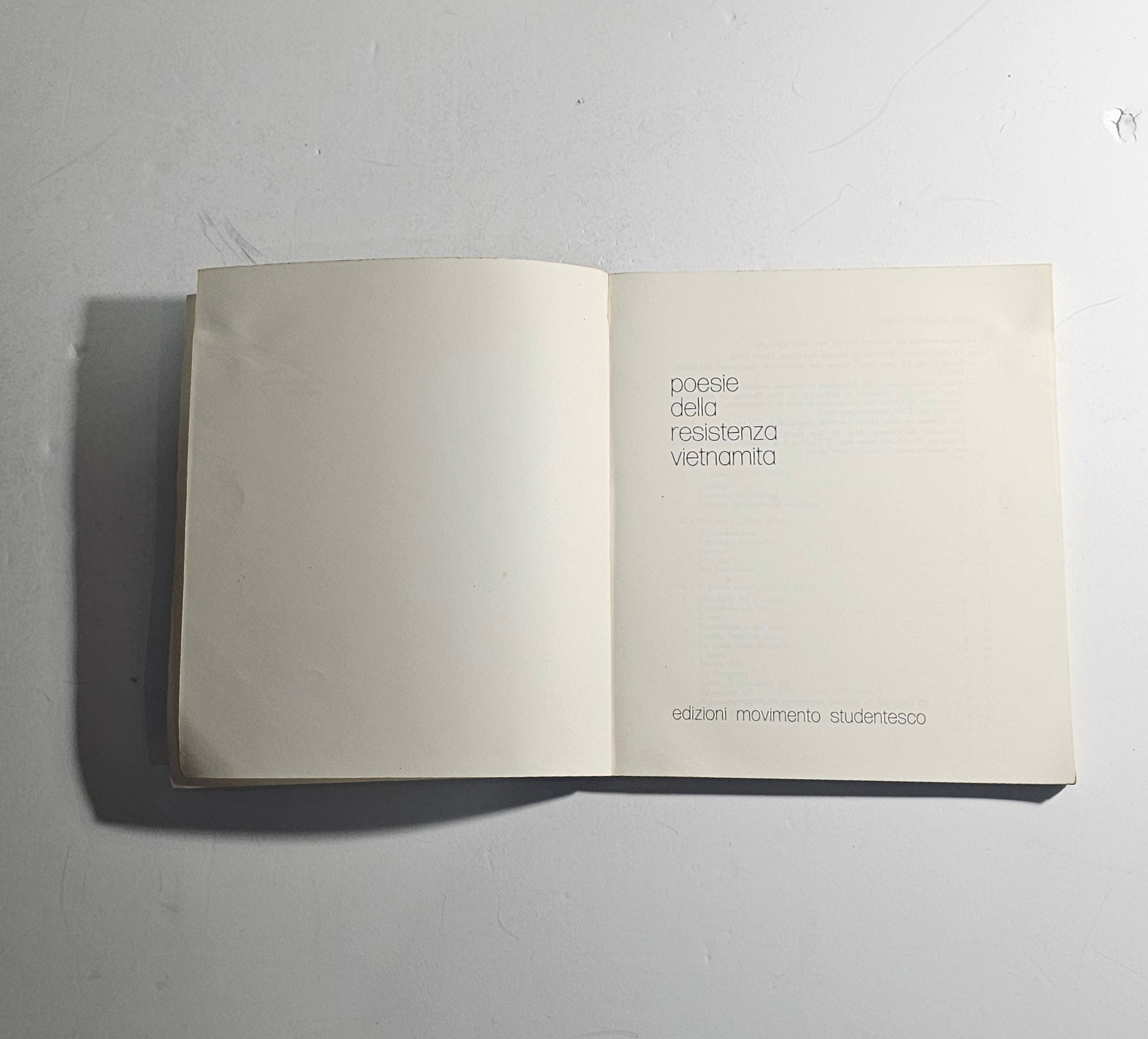 iolibrocarmine frontespizio poesia vietnamita movimento studentesco
