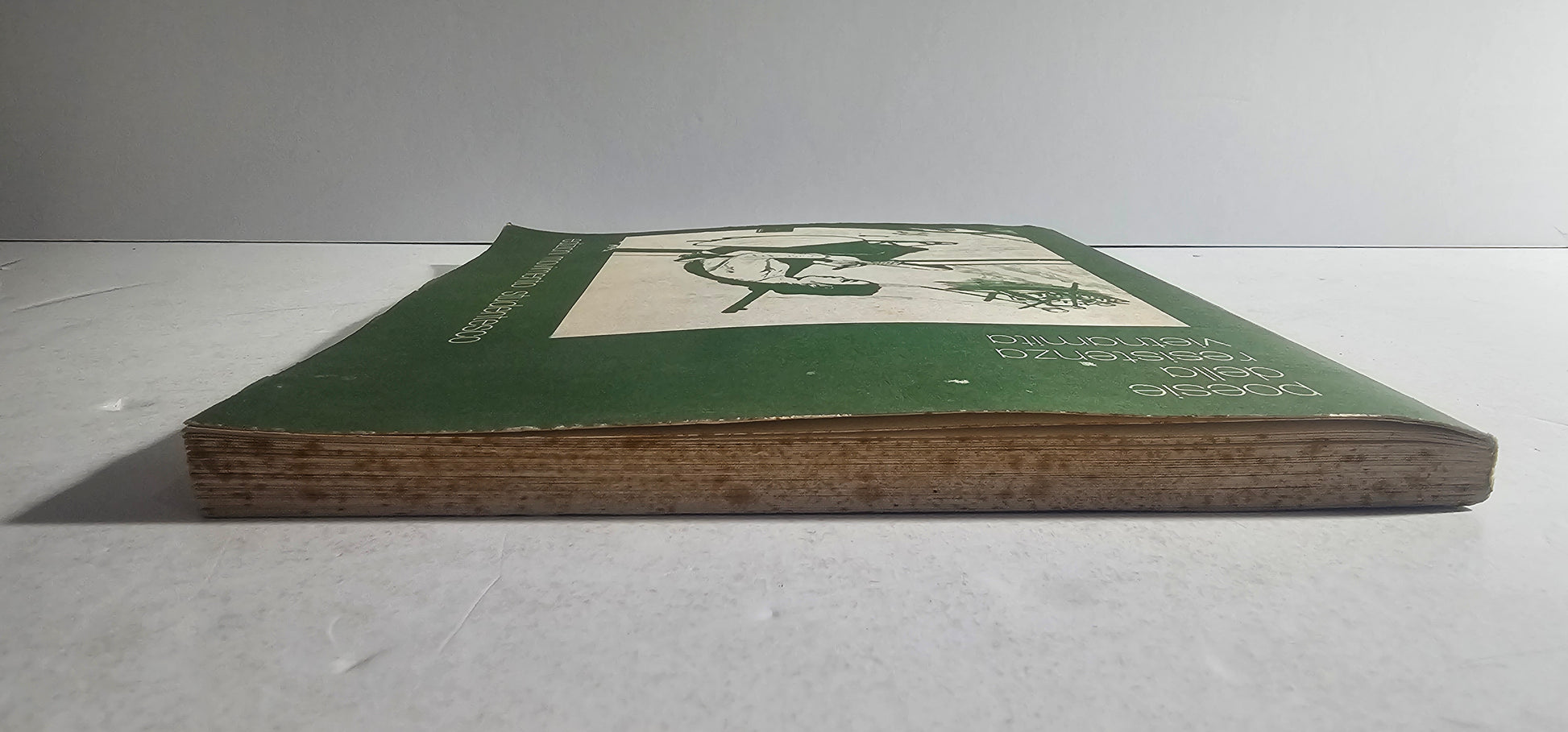 iolibrocarmine taglio superiore con difetti libro poesia resistenza vietnamita
