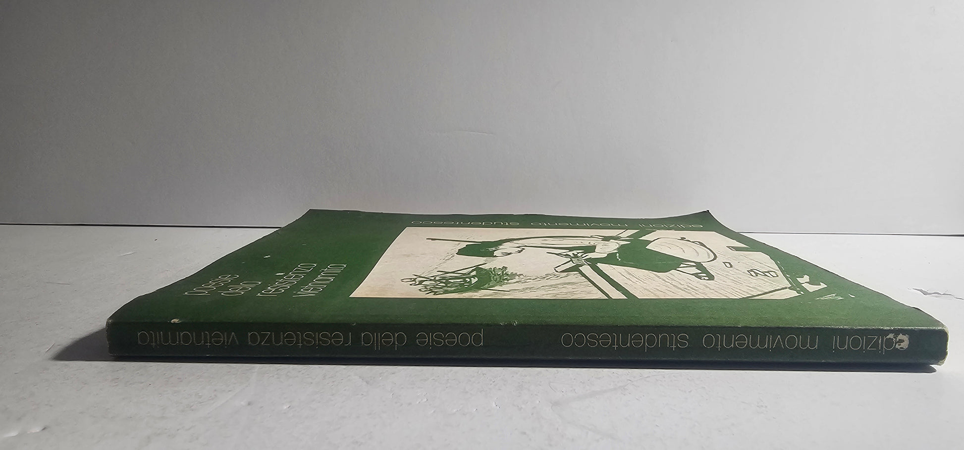 iolibrocarmine dorso libro poesia resistenza vietnamita
