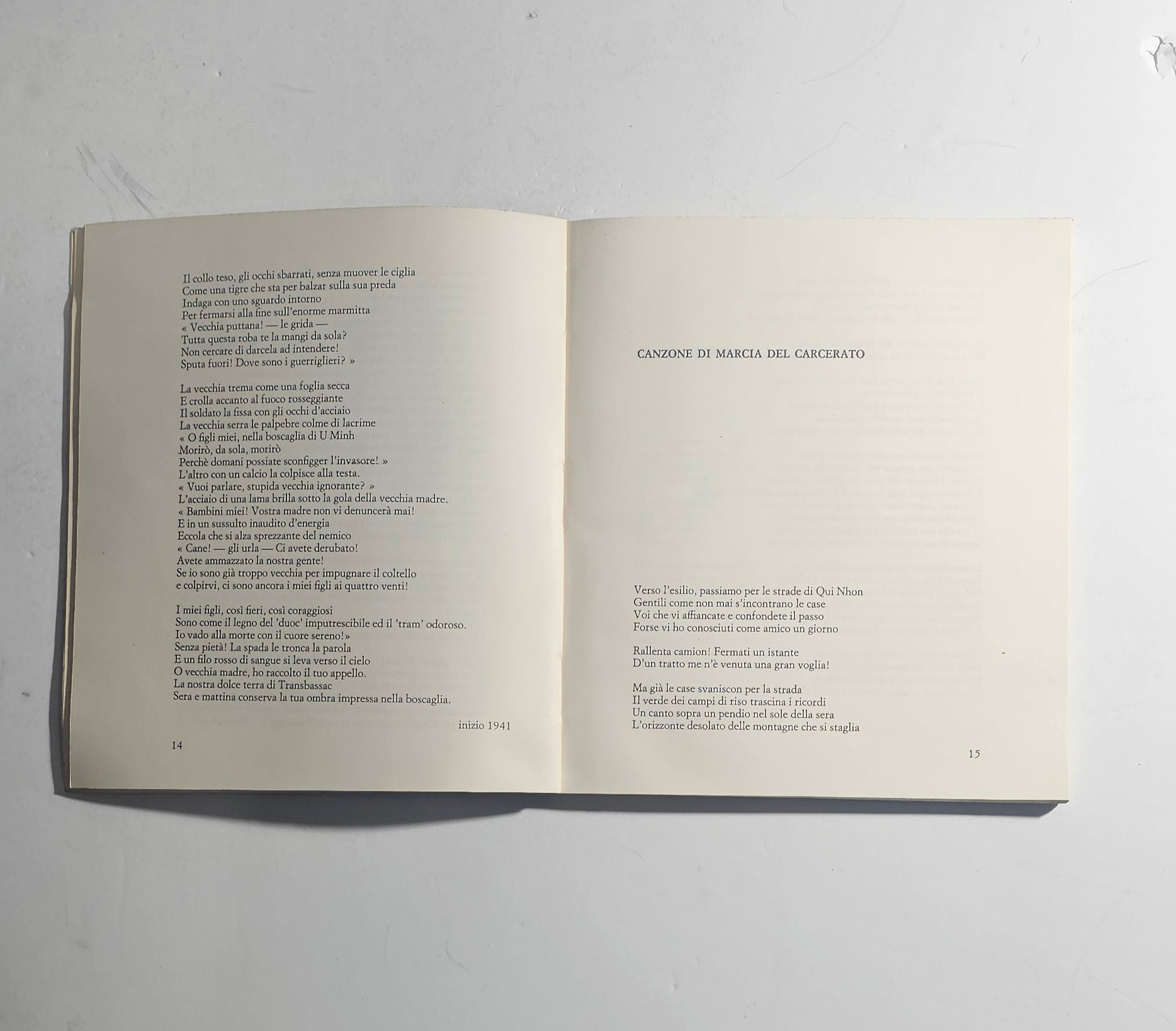iolibrocarmine pagine interne poesia politica Vietnam
