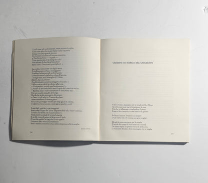 iolibrocarmine pagine interne poesia politica Vietnam
