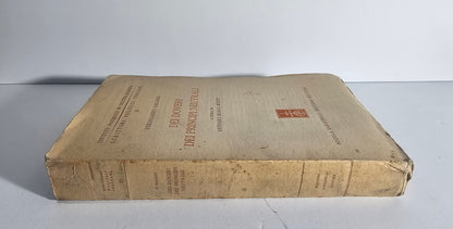 Dettagliodorso libro 1942 io libro carmine Zanichelli