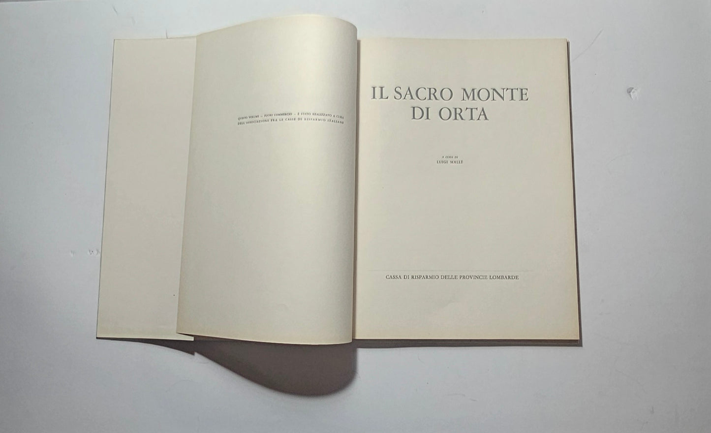 Frontespizio libro arte sacra piemontese iolibrocarmine
