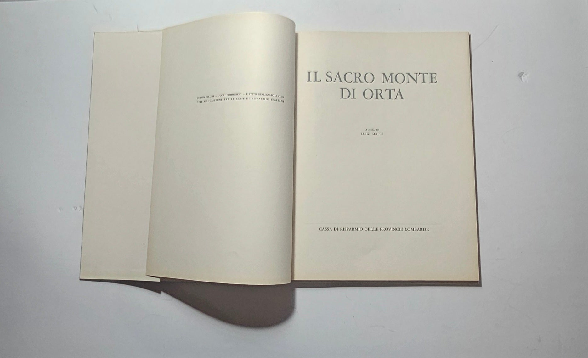 Frontespizio libro arte sacra piemontese iolibrocarmine
