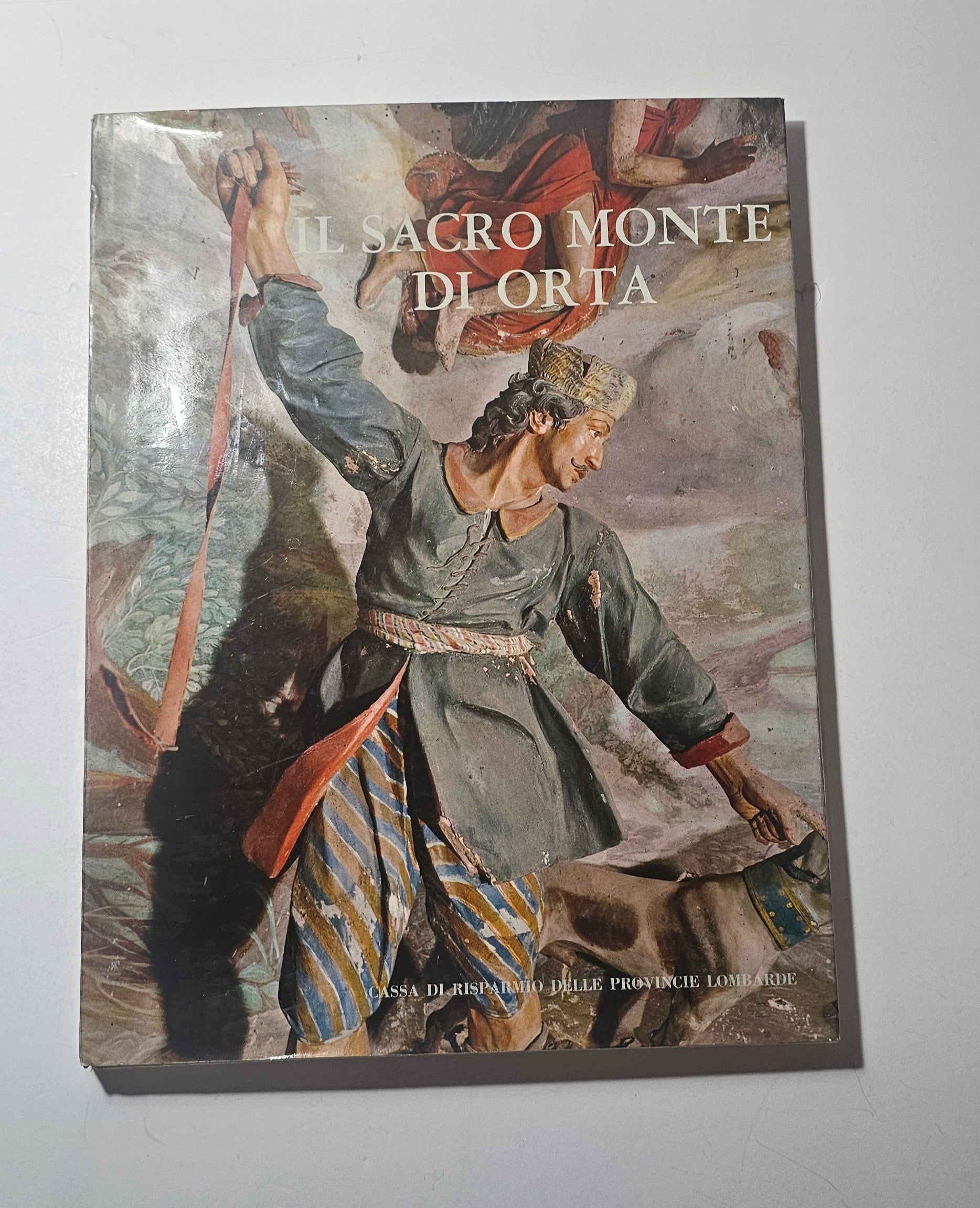 Copertina Il Sacro Monte di Orta iolibrocarmine
