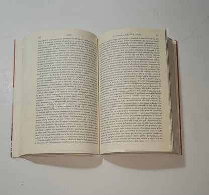 Pagine interne del volume Soldati di Carlo Vallauri io libro carmine