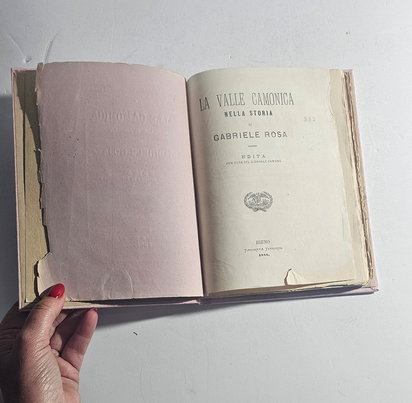 iolibrocarmine libro antico gabriele rosa pagine interne
