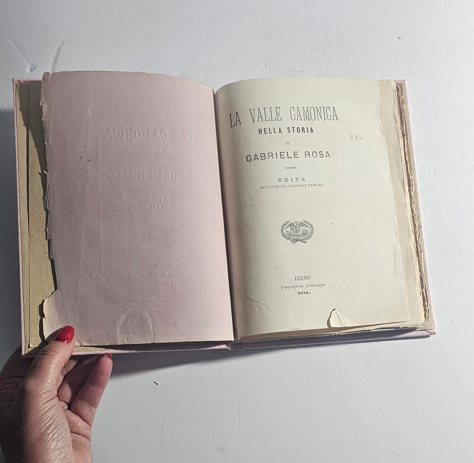 iolibrocarmine libro antico gabriele rosa pagine interne
