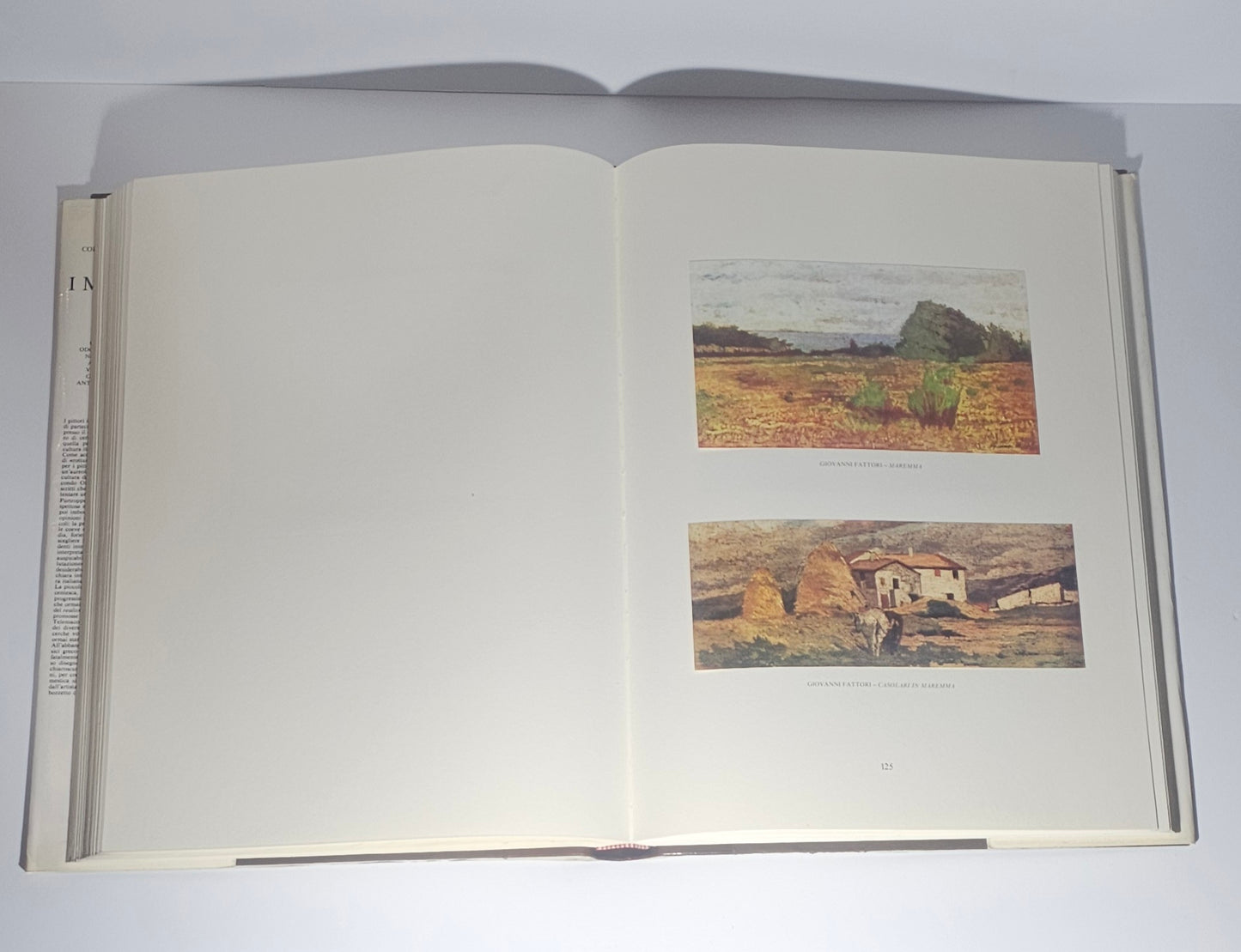 Dipinti Macchiaioli riproduzioni libro arte italiana
