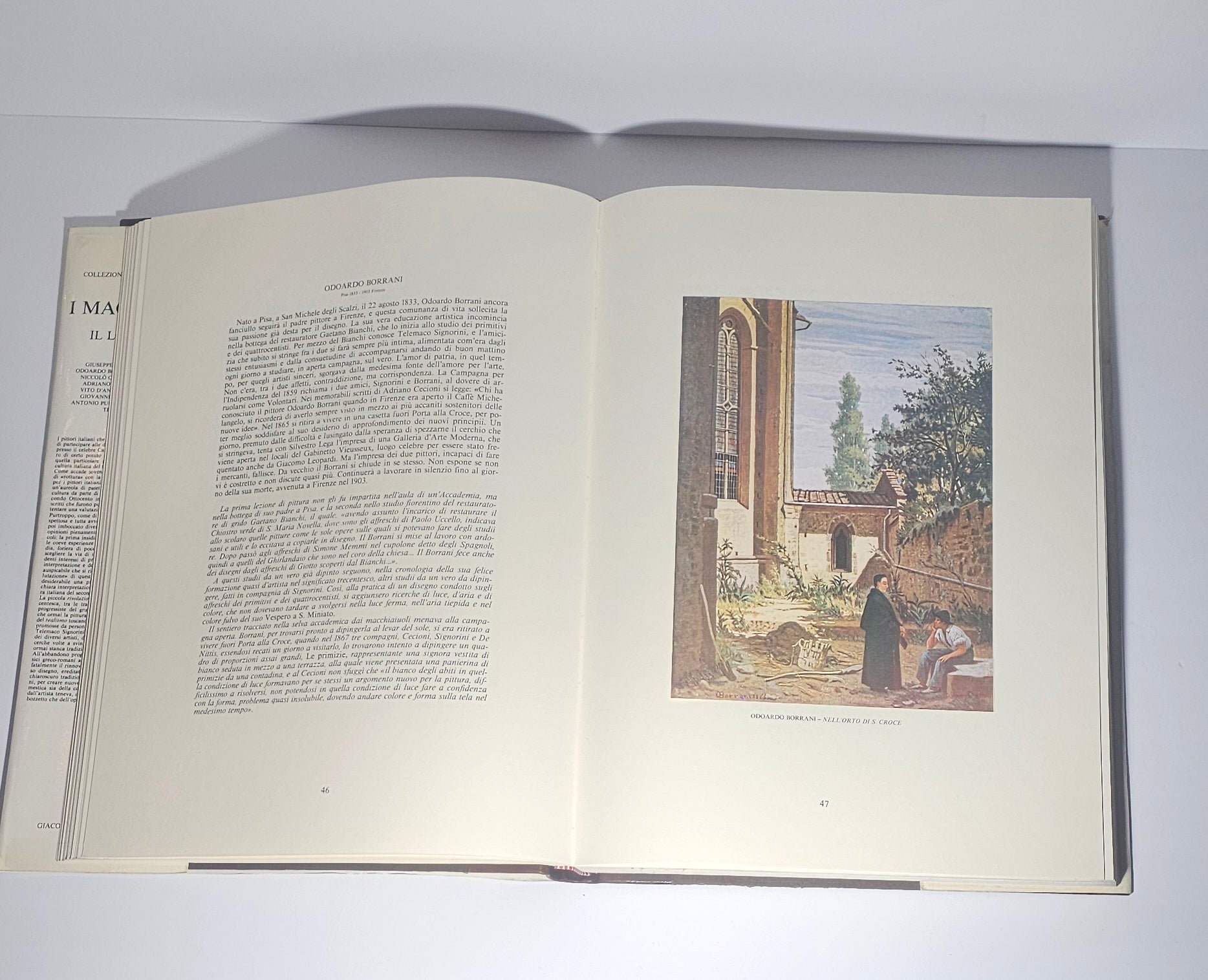 Testo critico Macchiaioli libro storia arte italiana