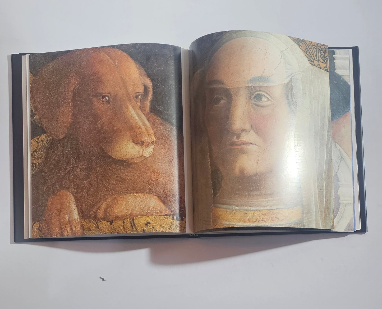 mantegna libro aperto copertina e interno arte rinascimentale