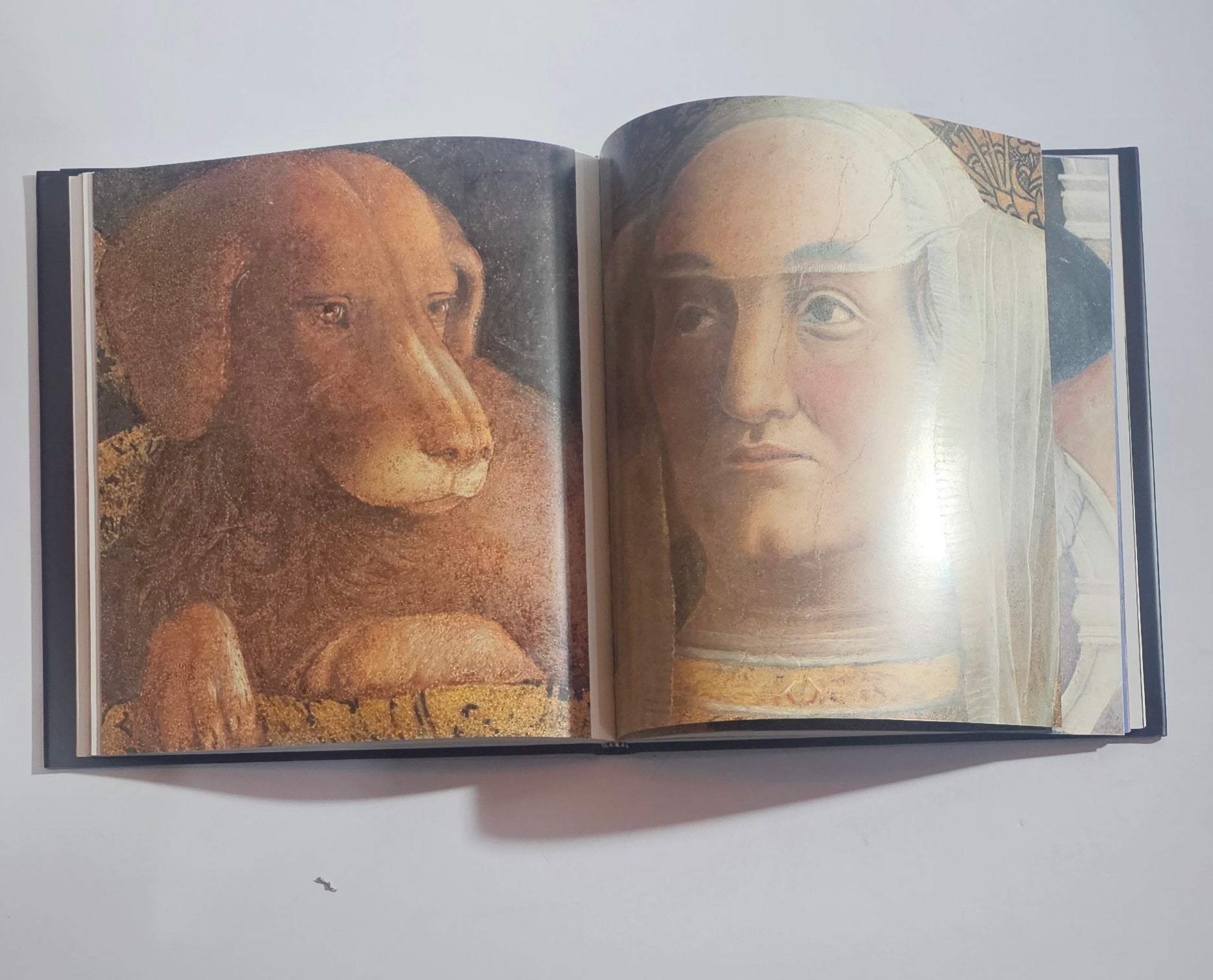 mantegna libro aperto copertina e interno arte rinascimentale