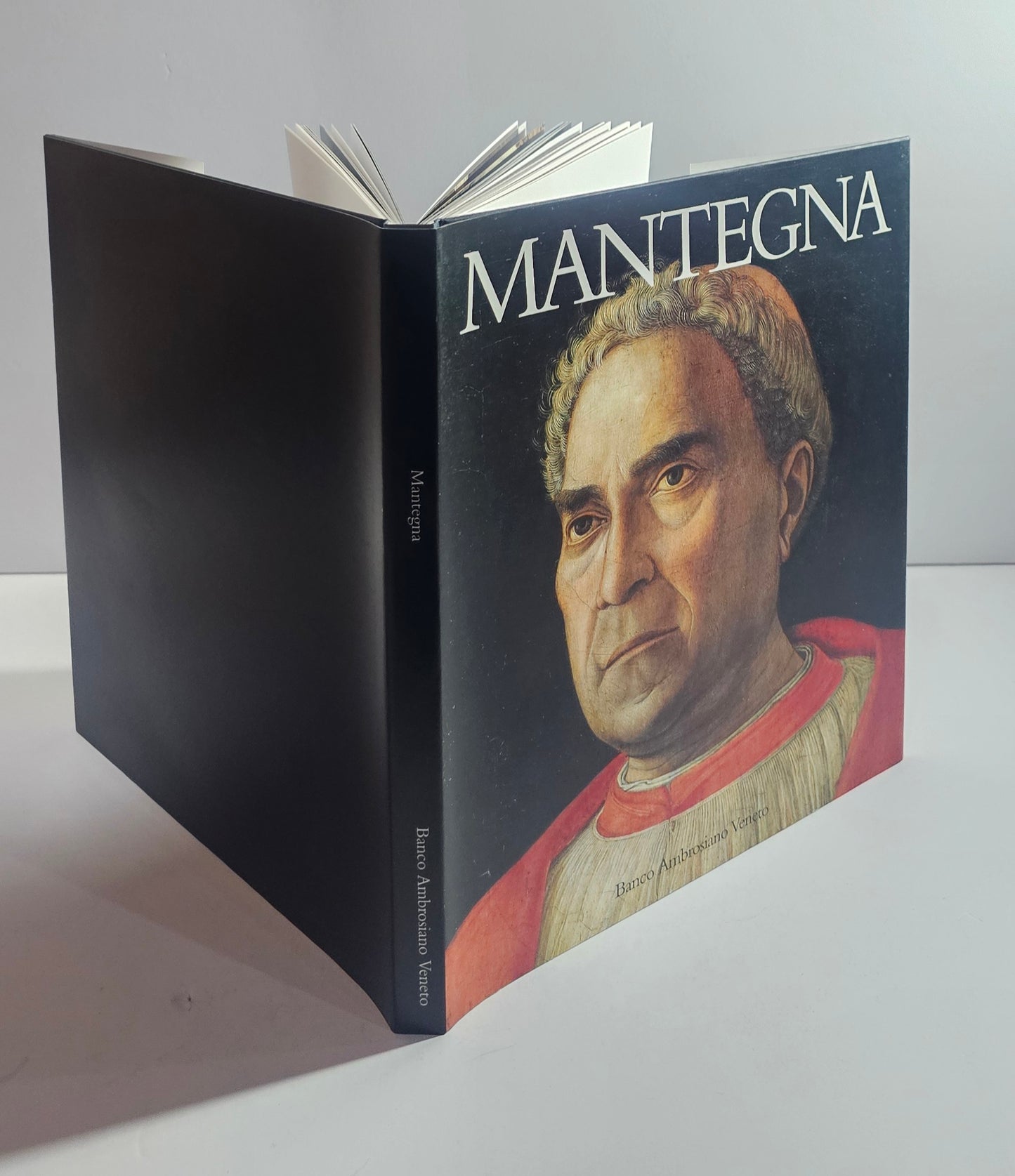 mantegna libro arte pagine interne dipinti rinascimento italiano