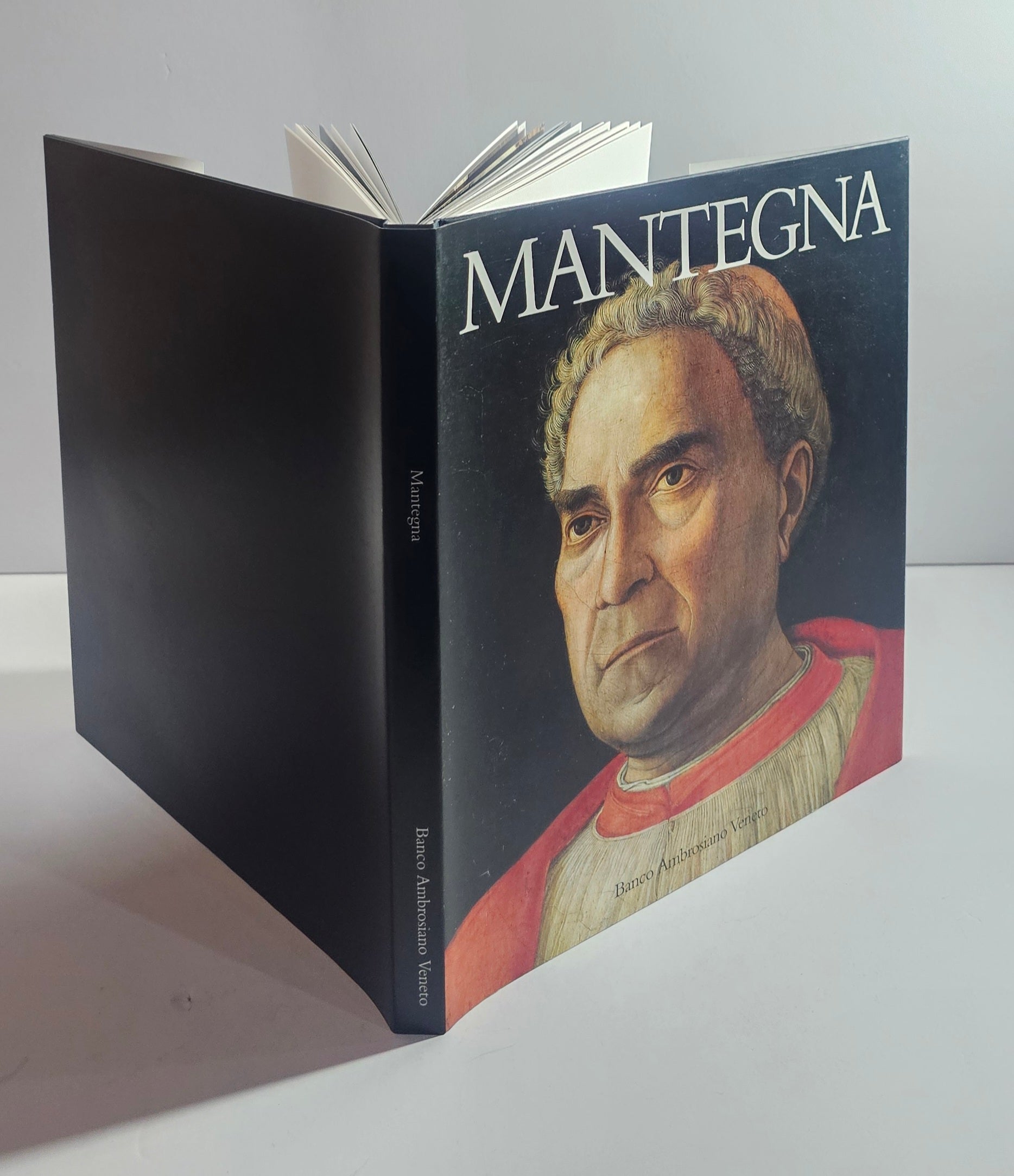 mantegna libro arte pagine interne dipinti rinascimento italiano