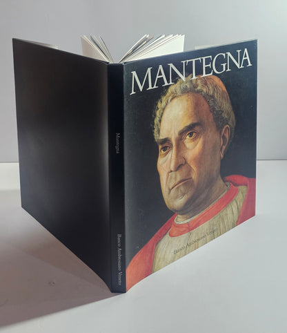 mantegna libro arte pagine interne dipinti rinascimento italiano