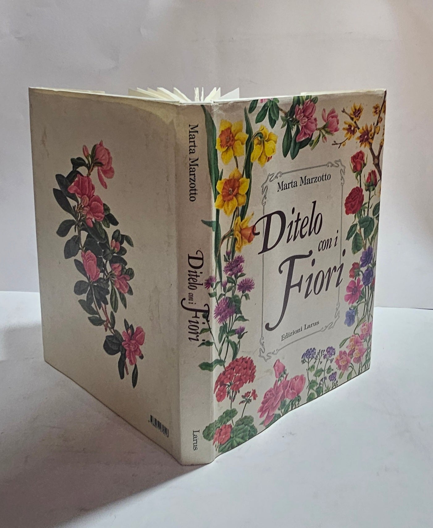 Copertina Ditelo con i Fiori di Marta Marzotto libro illustrato botanica Edizioni Larus