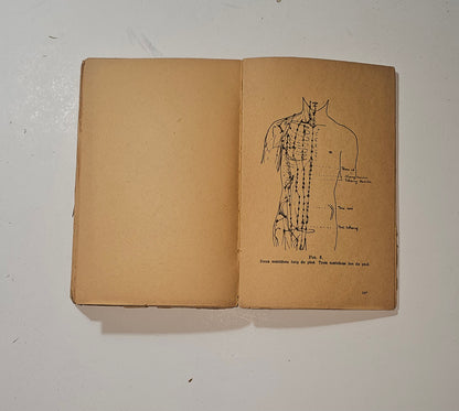Figura illustrata dei meridiani nel libro di agopuntura cinese 1947  io libro carmine