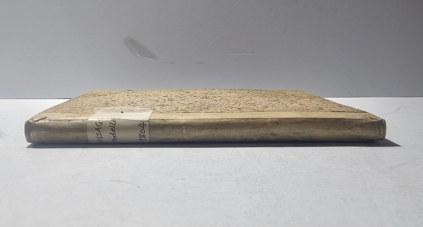 Costa del volume Notizie Storico Critiche Giambattista Rodella 1804 iolibrocarmine