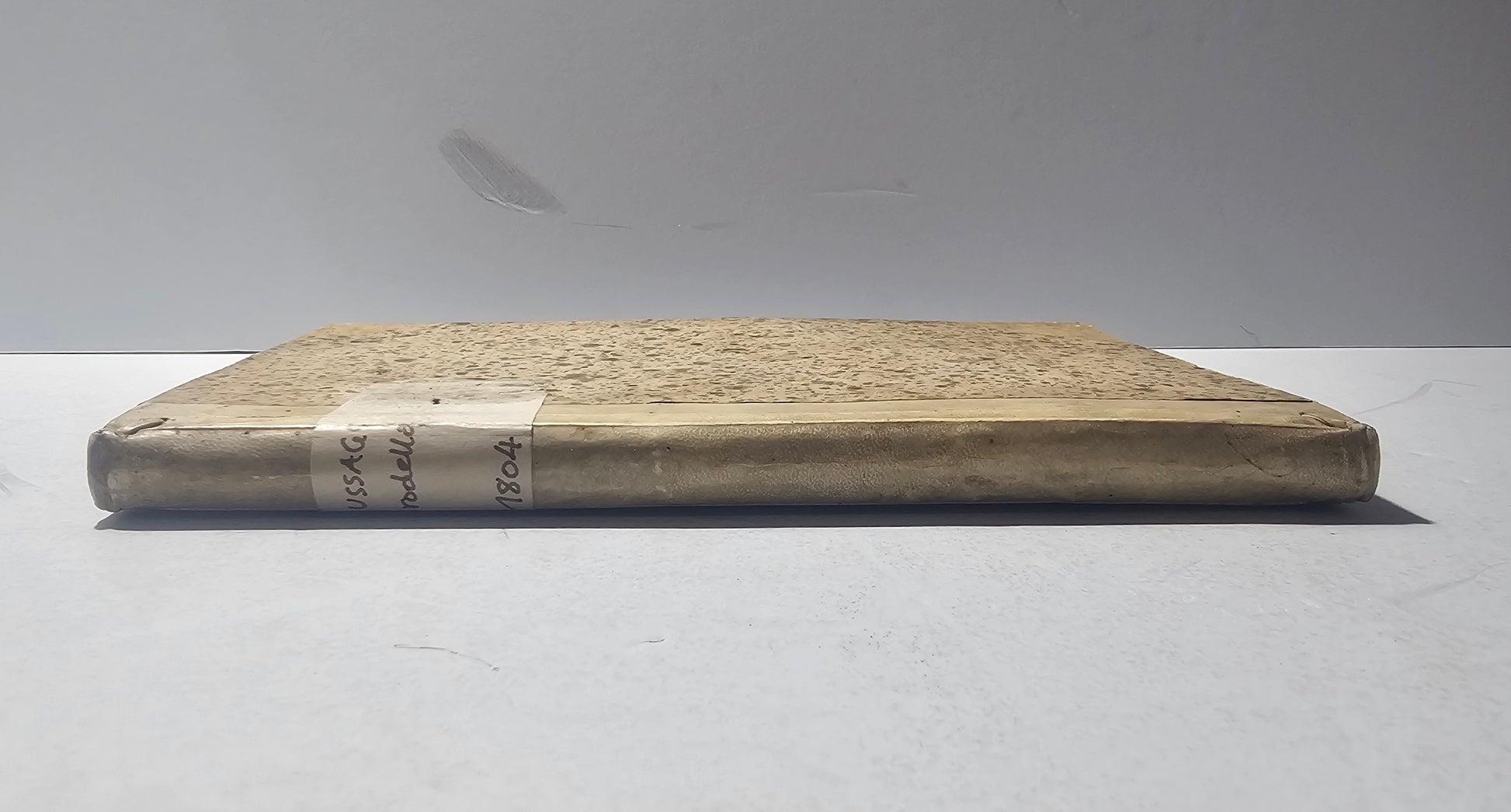 Costa del volume Notizie Storico Critiche Giambattista Rodella 1804 iolibrocarmine