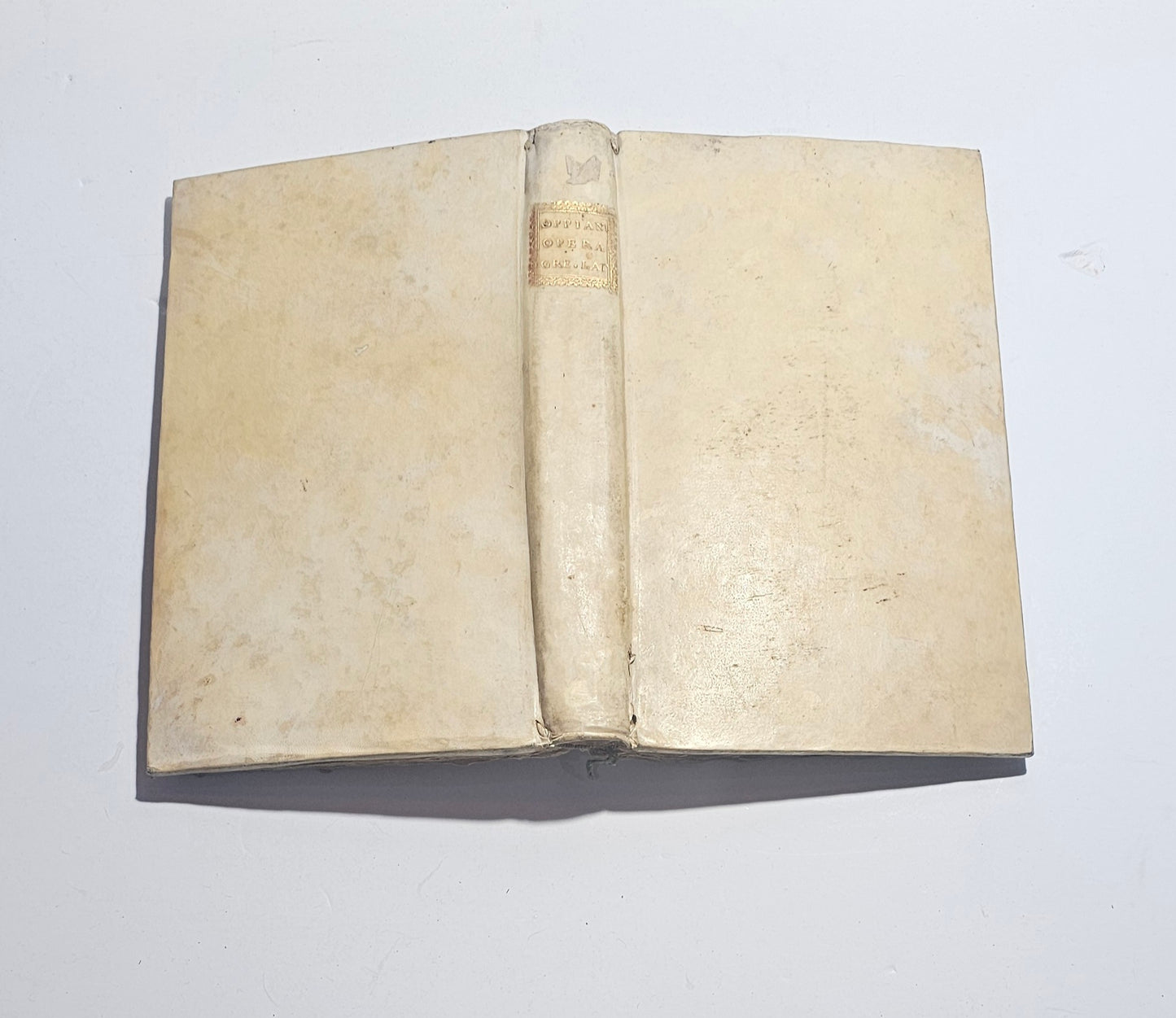 legatura pergamena libro antico oppiani 1776 dorso titolo oro
