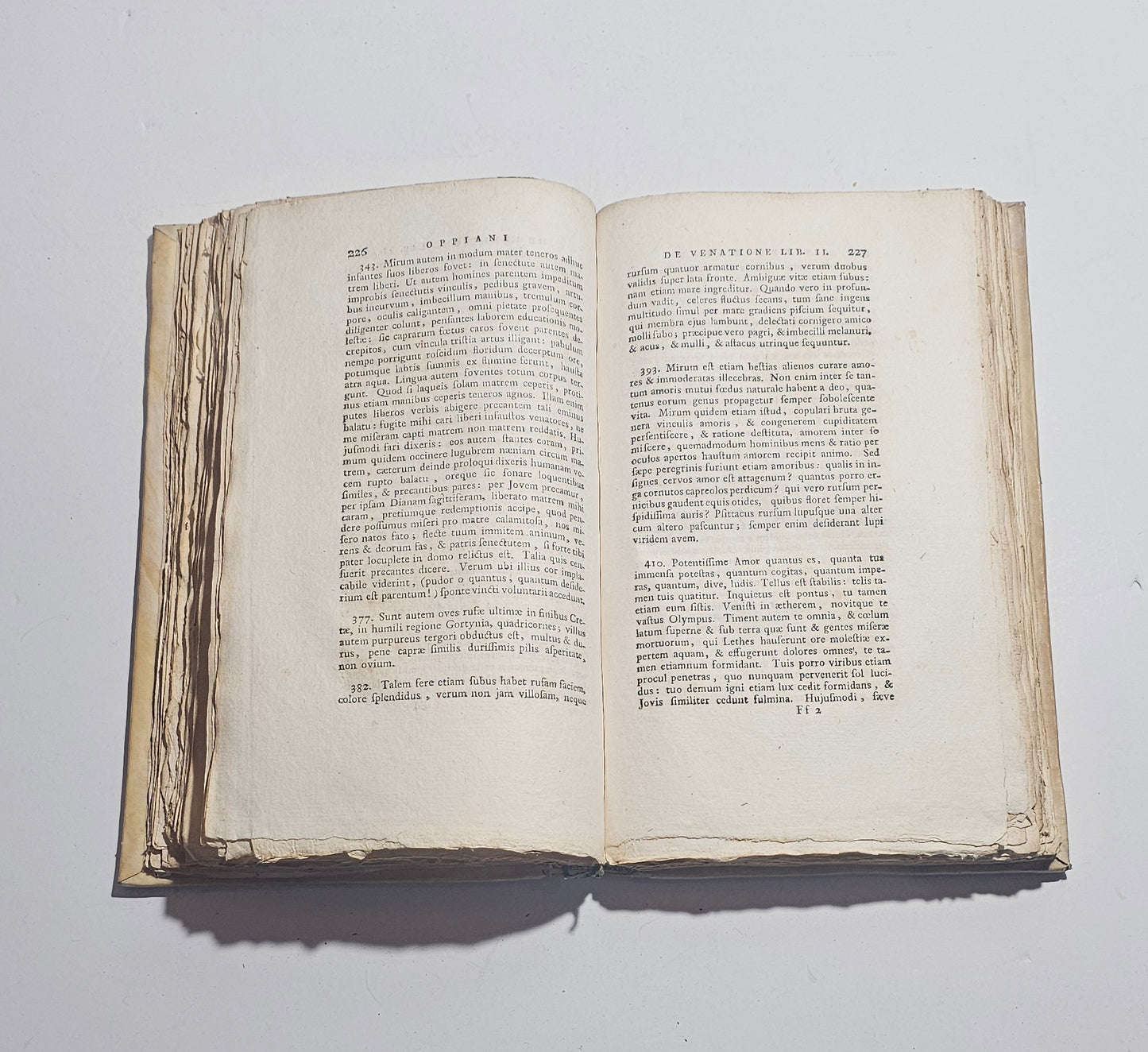 pagine interne libro antico 