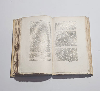 pagine interne libro antico 