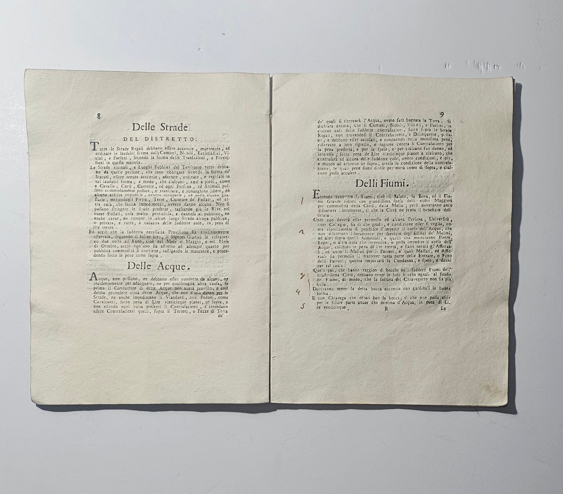 Pagine interne del raro statuto di Brescia del 1795 io libro carmine