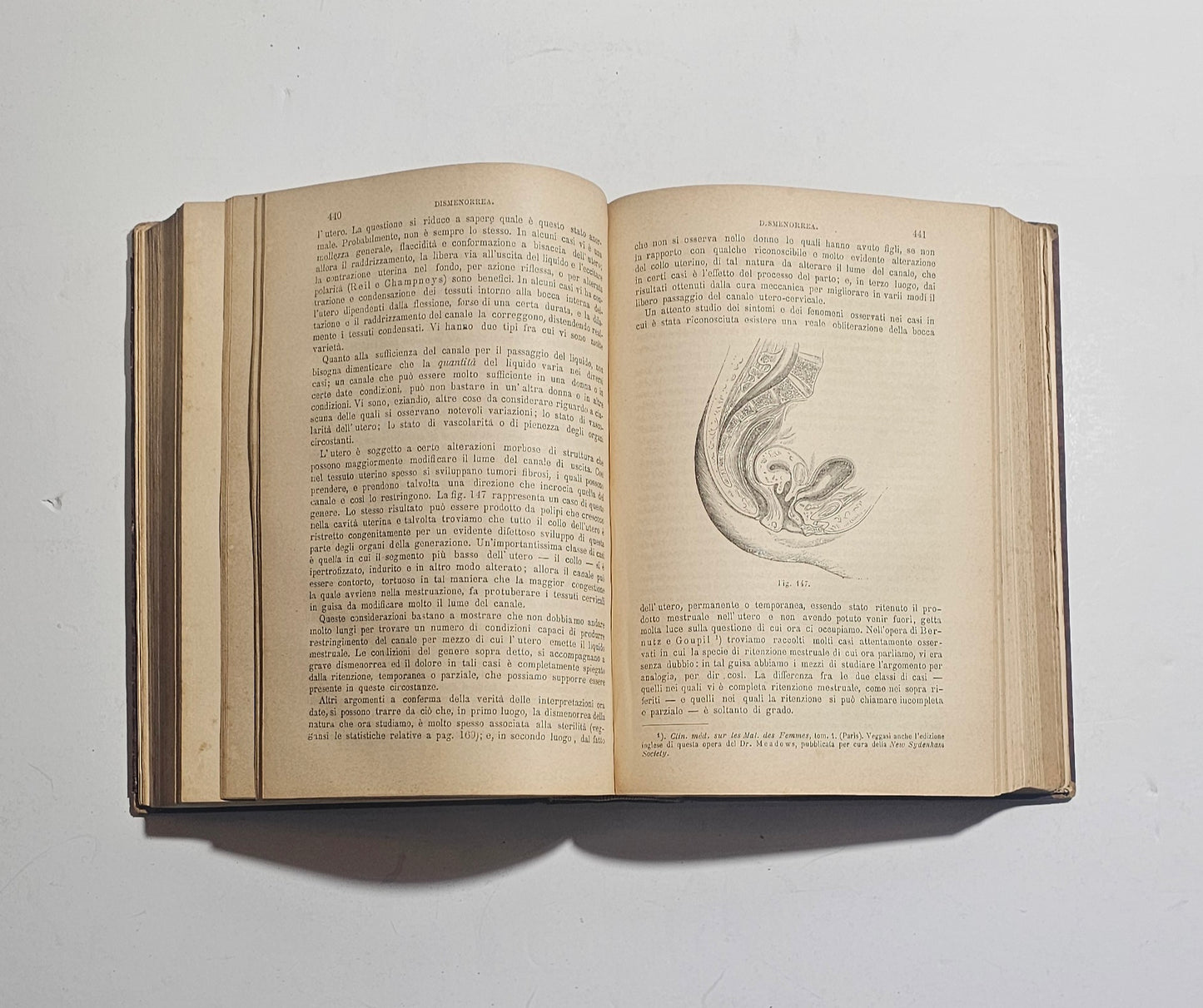 Incisioni mediche libro antico
