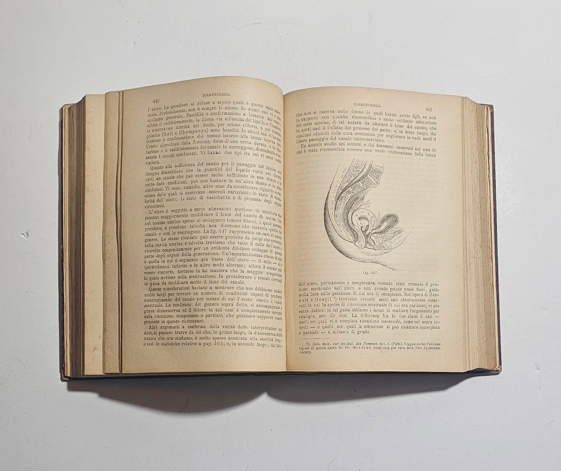 Incisioni mediche libro antico
