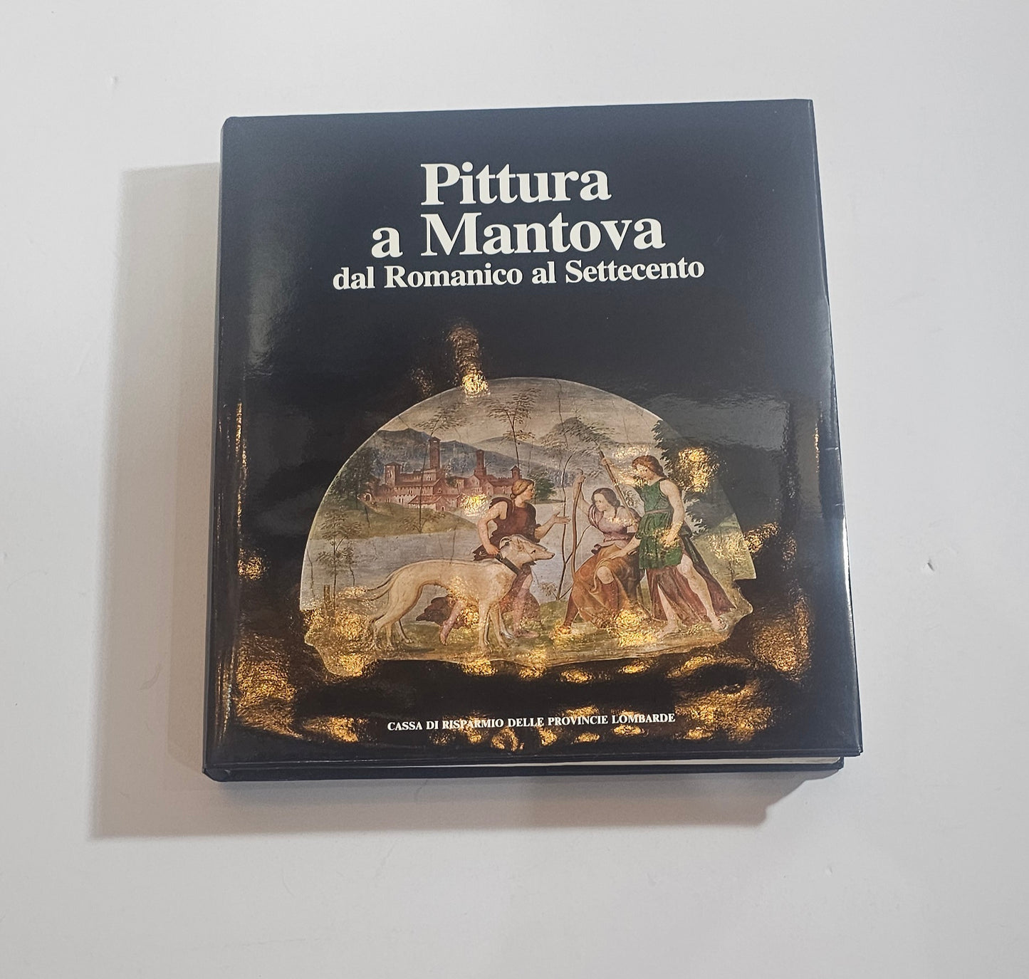 pittura a mantova libro copertina piatto anteriore arte lombarda romanico settecento