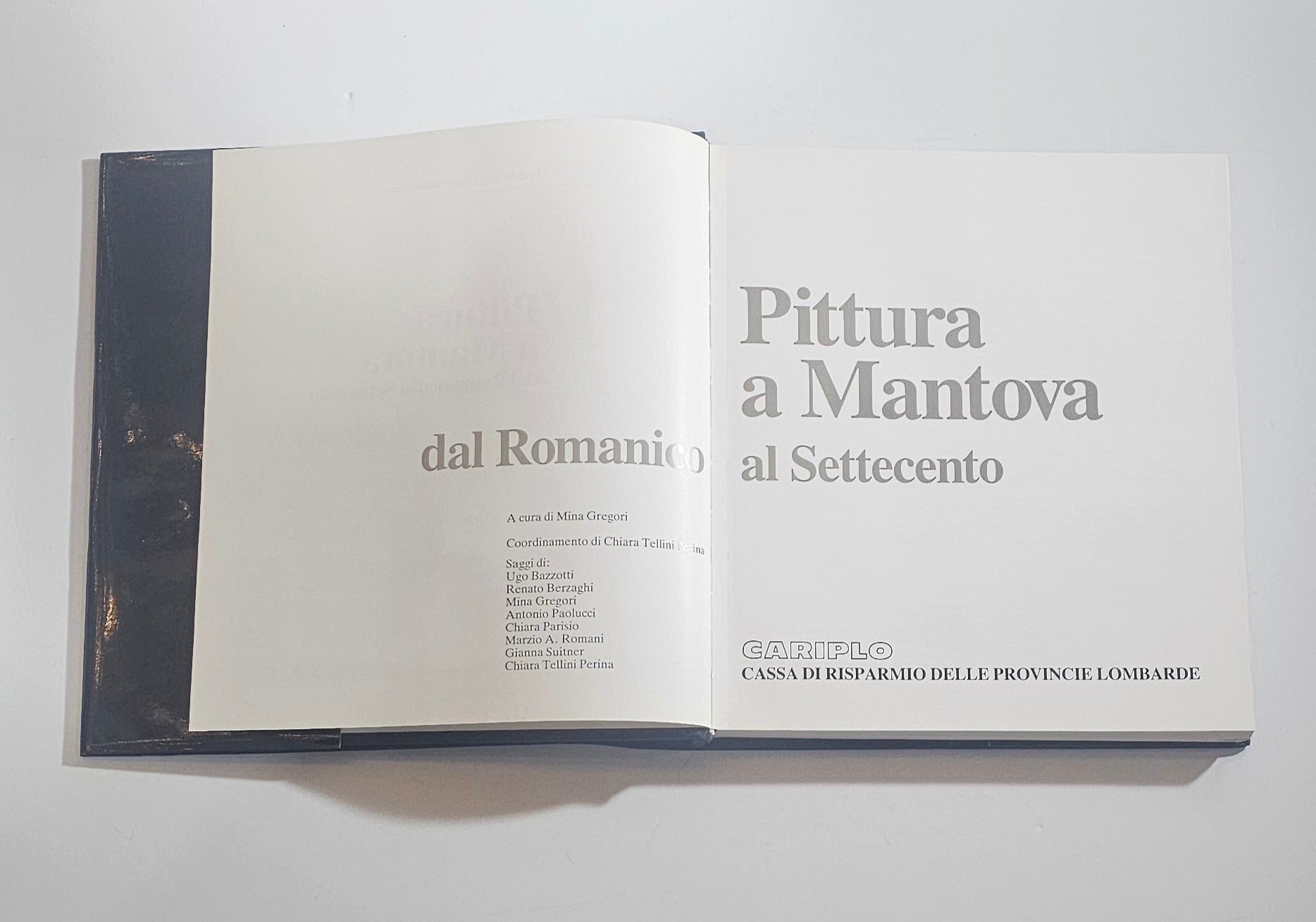 pittura a mantova libro frontespizio arte lombarda romanico settecento