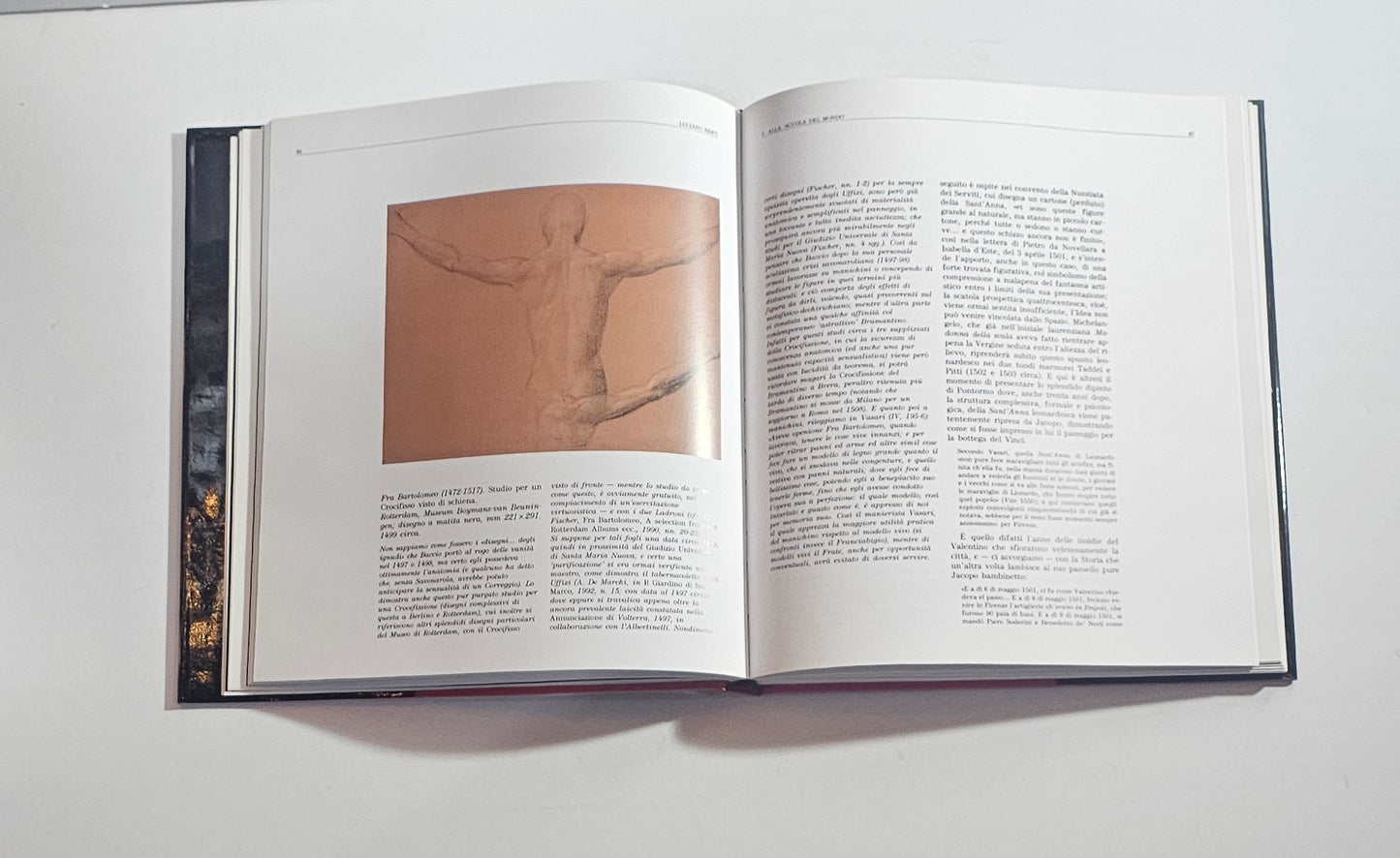 pontormo pittura manierista riproduzione libro arte italiana interno