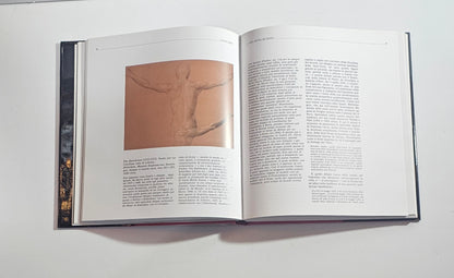 pontormo pittura manierista riproduzione libro arte italiana interno