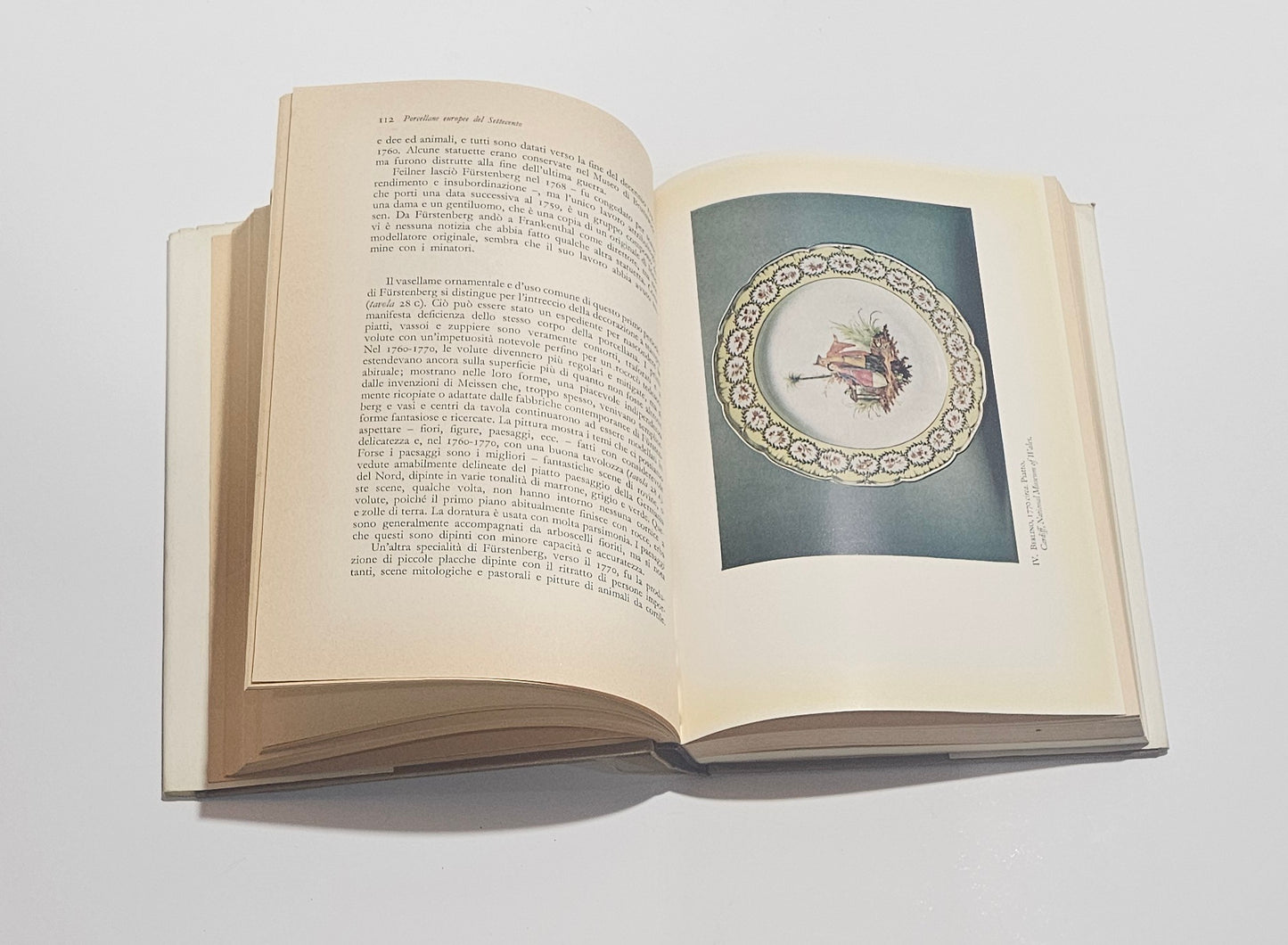 Tavole a colori porcellana europea XVIII secolo libro
