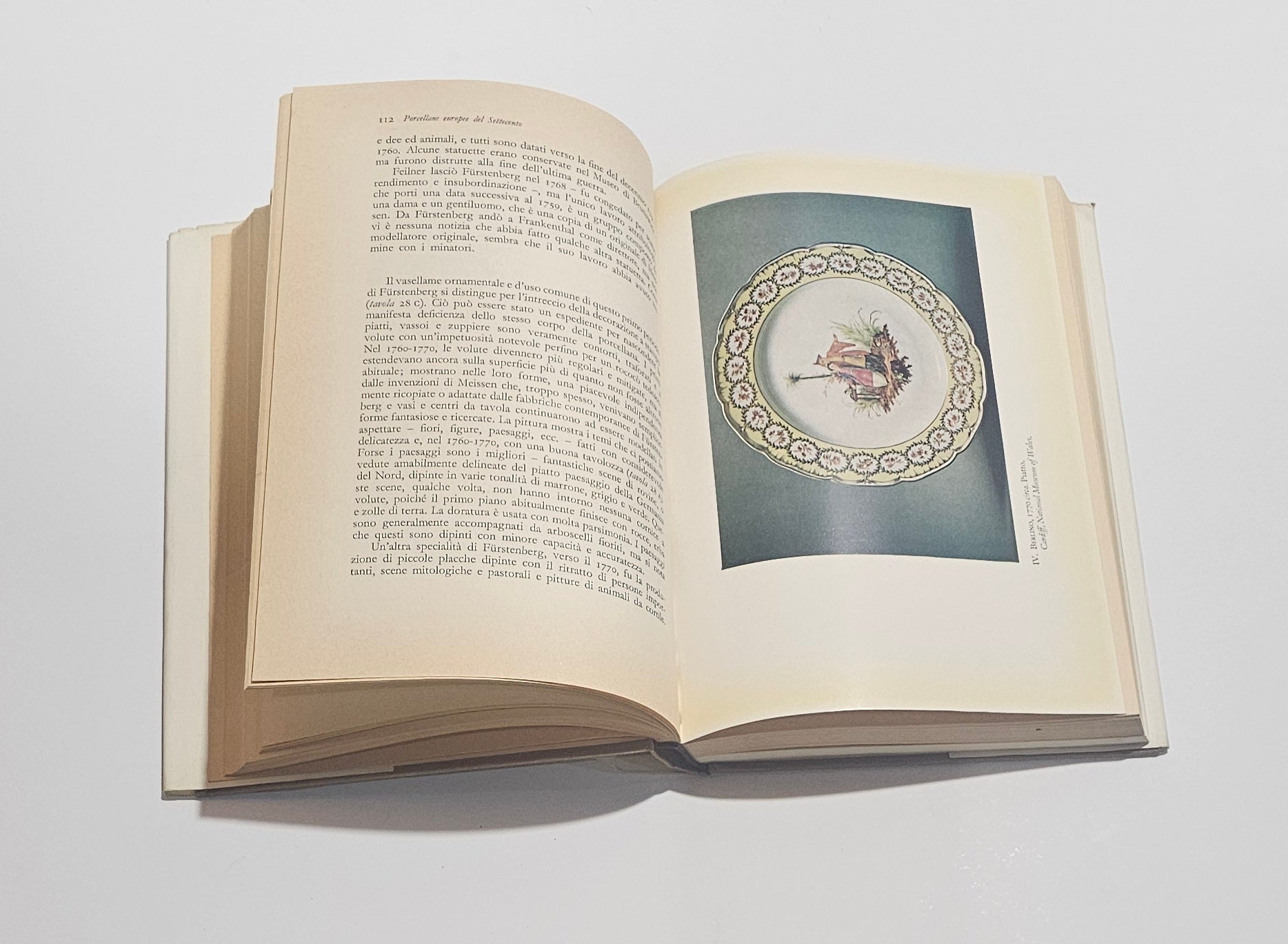 Tavole a colori porcellana europea XVIII secolo libro