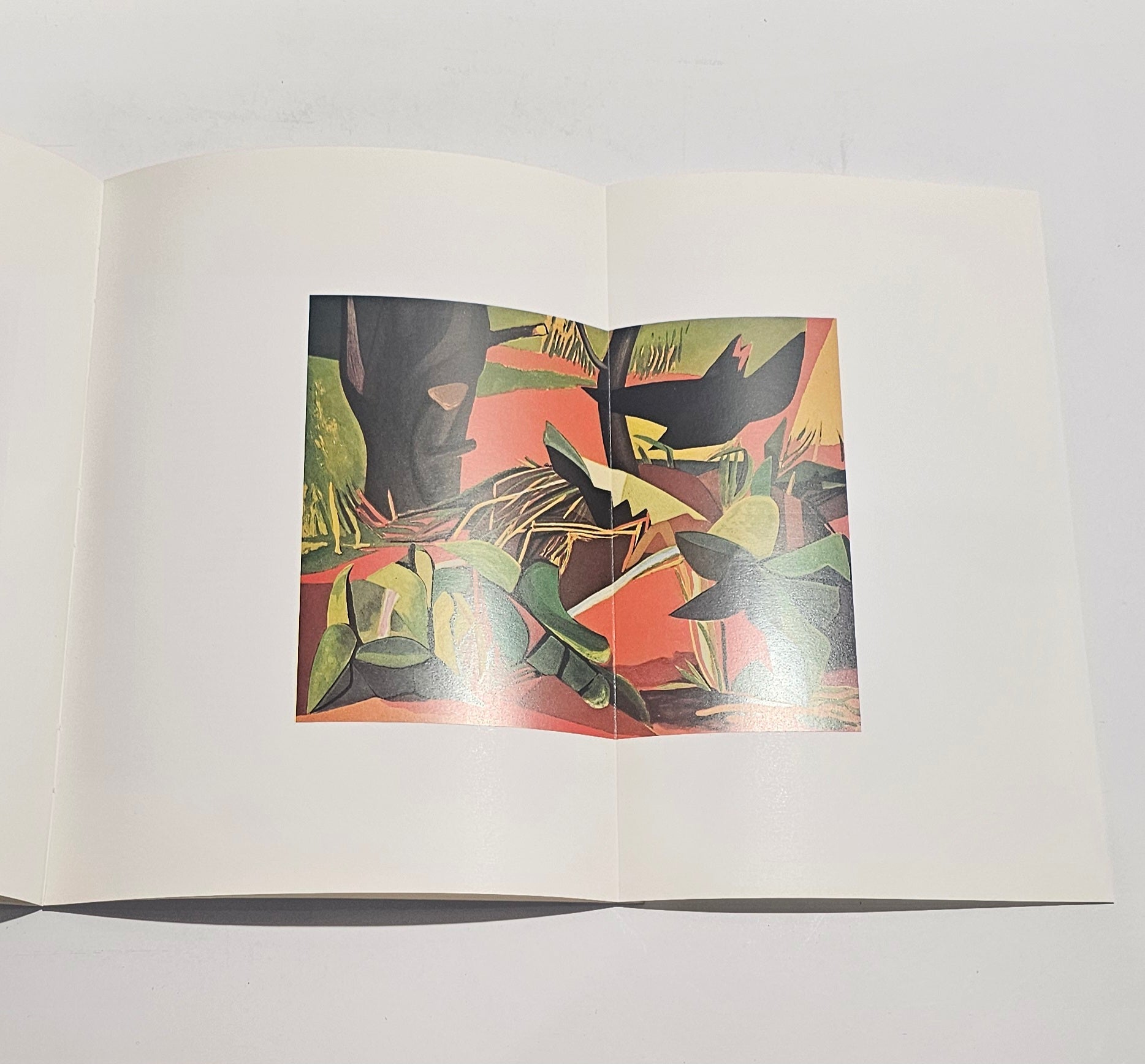 guttuso catalogo grafica maestri incisori tavola ripiegata primo volume
