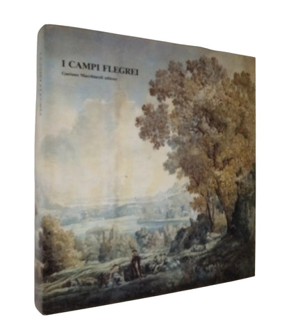 I Campi Flegrei