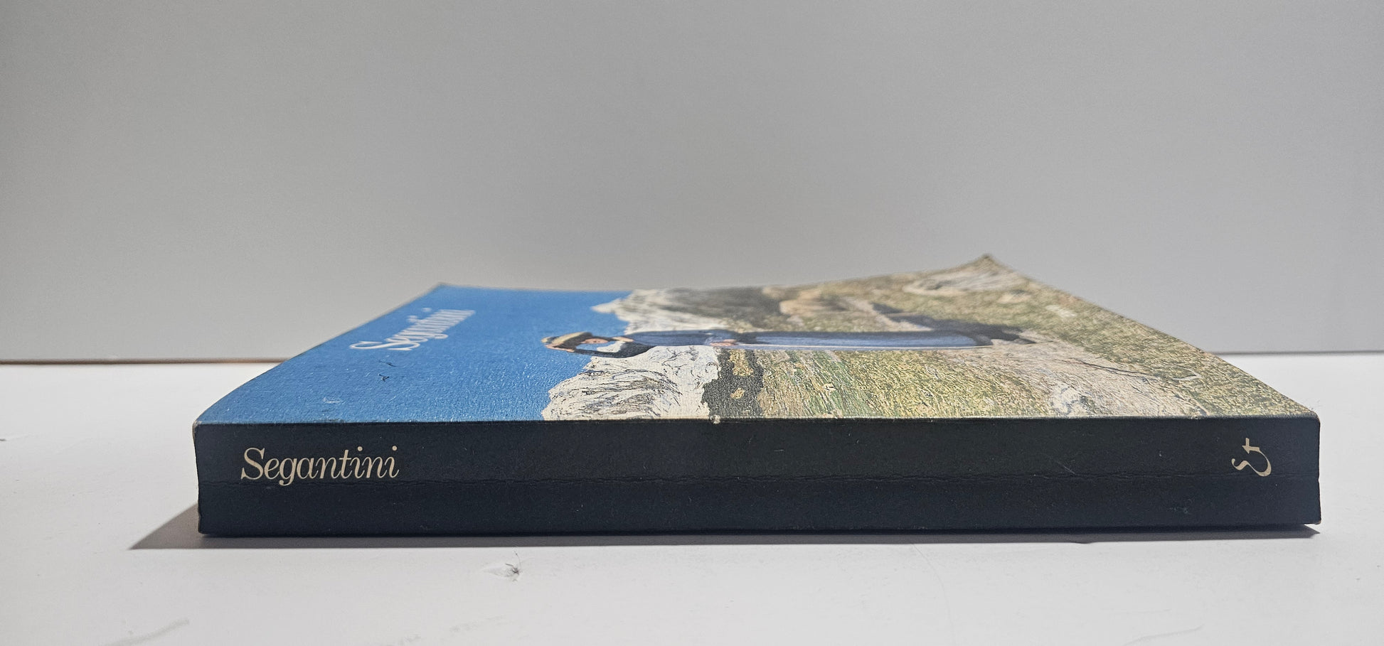 Costina dorso libro Segantini Electa