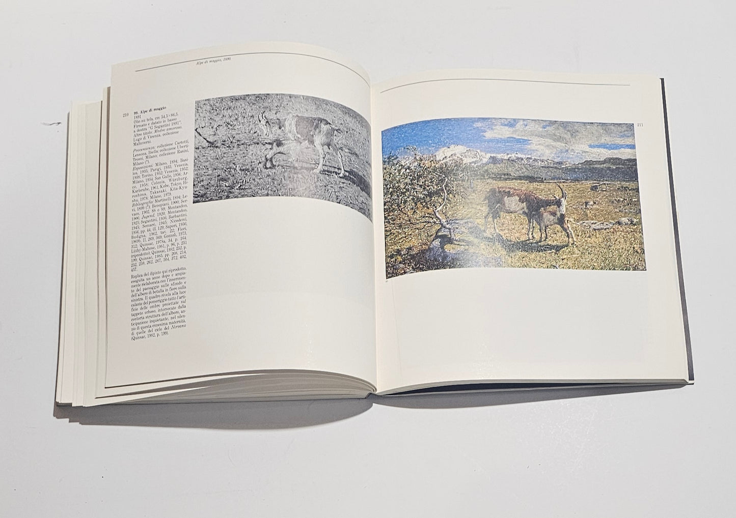 Riproduzioni opere Segantini libro arte