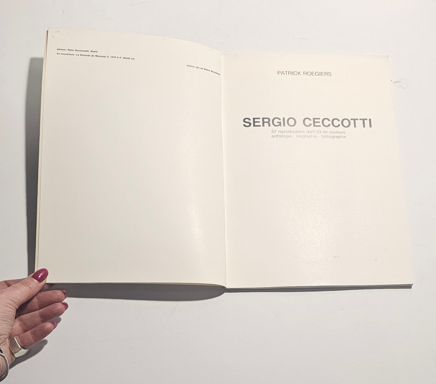 Libro arte contemporanea Sergio Ceccotti frontespizio